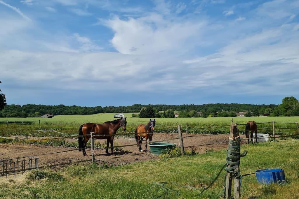 Belle Suite Dans Corps De Ferme - Logement Alicia Villiers-sous-Grez Exteriör bild