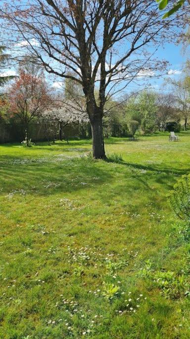 Belle Suite Dans Corps De Ferme - Logement Alicia Villiers-sous-Grez Exteriör bild