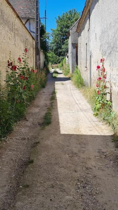 Belle Suite Dans Corps De Ferme - Logement Alicia Villiers-sous-Grez Exteriör bild